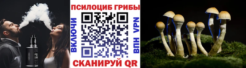 продажа наркотиков Солигалич Псилоцибиновые грибы мухоморы