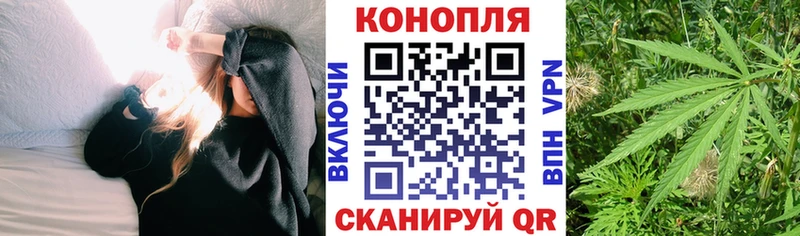 darknet Telegram  цена   omg ссылка  Солигалич  Конопля Ganja 